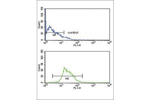 Flow Cytometry (FACS) image for anti-Kynurenine 3-Monooxygenase (Kynurenine 3-Hydroxylase) (KMO) antibody (ABIN3003857) (KMO antibody)
