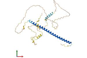 AlphaFold protein structure predicition of Human Recombinant JUN Protein, UniprotID P05412 (C-JUN Protein (AA 1-331) (His tag))