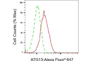 Flow cytometric analysis of ATG13 expression in HT- cells using ATG13 antibody (ABIN7797708), 1:2,000). (Recombinant ATG13 antibody)