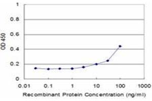 Detection limit for recombinant GST tagged SMARCA5 is approximately 3ng/ml as a capture antibody. (SMARCA5 antibody  (AA 59-147))