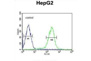 Flow Cytometry (FACS) image for anti-SMAD, Mothers Against DPP Homolog 6 (SMAD6) antibody (ABIN3002311)