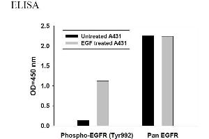 Image no. 4 for Epidermal Growth Factor Receptor (EGFR) ELISA Kit (ABIN625238) (EGFR ELISA Kit)