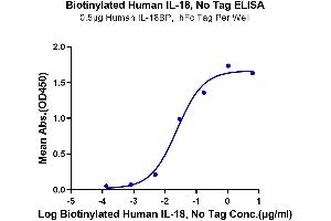ELISA image for Interleukin 18 (IL18) (AA 37-193) protein (Biotin) (ABIN7274881)