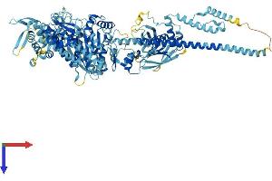Protein Structure (PS) image for Myosin IA (MYO1A) (AA 1-1043) protein (His tag) (ABIN7554670)