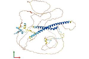 Protein Structure (PS) image for Male-Specific Lethal 1 Homolog (MSL1) (AA 1-616) protein (His tag) (ABIN7564119)