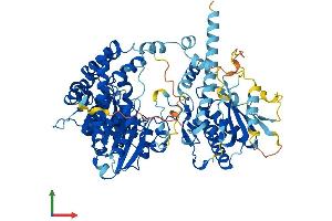 AlphaFold protein structure predicition of Human Recombinant CMTR2 Protein, UniprotID Q8IYT2 (CMTR2 Protein (AA 1-770) (His tag))