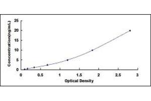 Typical standard curve (EPH Receptor A3 ELISA Kit)