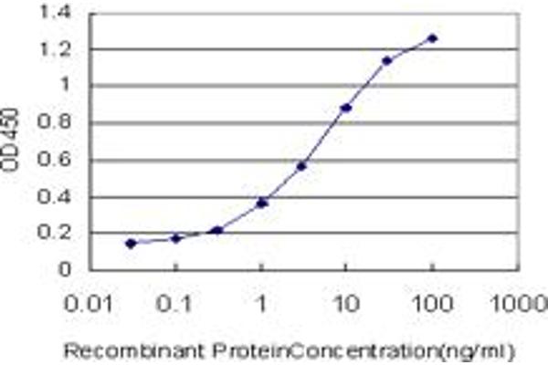 TBL1X antibody  (AA 478-577)