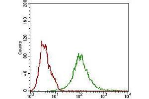 Flow cytometric analysis of Hela cells using BACE1 mouse mAb (green) and negative control (red).