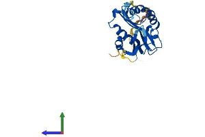 Protein Structure (PS) image for Aralkylamine N-Acetyltransferase (AANAT) (AA 1-207) protein (His tag) (ABIN7546182)
