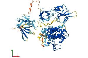 AlphaFold protein structure predicition of Mouse Recombinant Itk Protein, UniprotID Q03526 (ITK Protein (AA 1-625) (His tag))