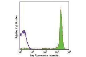 Flow Cytometry (FACS) image for anti-CD90/CD90.1 antibody (FITC) (ABIN2661863) (CD90/CD90.1 antibody (FITC))