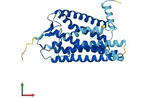 AlphaFold protein structure predicition of Human Recombinant OR4M1 Protein, UniprotID Q8NGD0 (OR4M1 Protein (AA 1-313) (His tag))