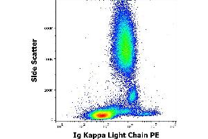 Flow cytometry surface staining pattern of human peripheral whole blood stained using anti-human Ig Kappa Light Chain (TB28-2) PE antibody (10 μL reagent / 100 μL of peripheral whole blood).