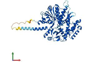 AlphaFold protein structure predicition of Human Recombinant CDC45 Protein, UniprotID O75419