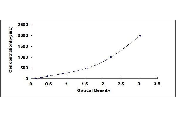 SDC4 ELISA Kit