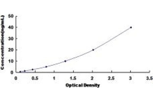 BNIP3 ELISA Kit
