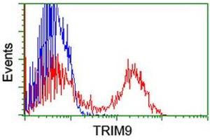 Image no. 1 for anti-Tripartite Motif Containing 9 (TRIM9) (AA 284-669) antibody (ABIN1491324) (TRIM9 antibody  (AA 284-669))