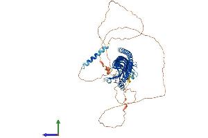 AlphaFold protein structure predicition of Mouse Recombinant Jph1 Protein, UniprotID Q9ET80 (Junctophilin 1 Protein (JPH1) (AA 1-660) (His tag))