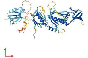 AlphaFold protein structure predicition of Mouse Recombinant Snta1 Protein, UniprotID Q61234
