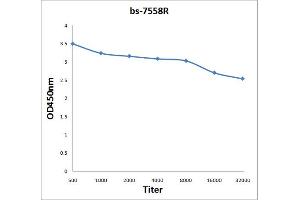 Antigen: 2 µg/100 µL  Primary: Antiserum, 1:500, 1:1000, 1:2000, 1:4000, 1:8000, 1:16000, 1:32000;  Secondary: HRP conjugated Rabbit Anti-Goat IgG at 1: 5000;  TMB staining Read the data in Microplate Reader by 450nm. (MC3R antibody  (AA 131-230))