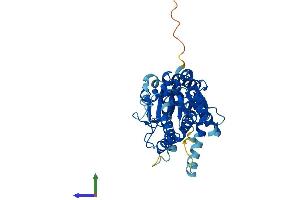 AlphaFold protein structure predicition of Human Recombinant ALG2 Protein, UniprotID Q9H553