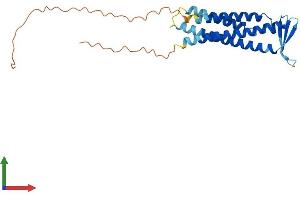 Protein Structure (PS) image for Sarcospan (Kras Oncogene-Associated Gene) (SSPN) (AA 1-243) protein (His tag) (ABIN7546445)