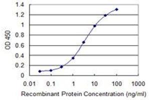 Detection limit for recombinant GST tagged DAPK2 is 0. (DAPK2 antibody  (AA 281-370))