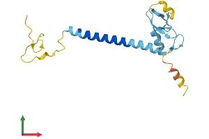 AlphaFold protein structure predicition of Mouse Recombinant Rnf122 Protein, UniprotID Q8BP31