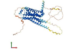 Protein Structure (PS) image for Adrenergic, beta-1-, Receptor (ADRB1) (AA 1-466) protein (His tag) (ABIN7563152)