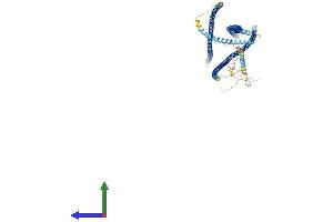 AlphaFold protein structure predicition of Mouse Recombinant Cchcr1 Protein, UniprotID Q8K2I2