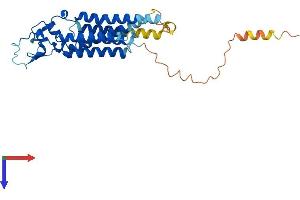 Lipid Phosphate Phosphatase-Related Protein Type 5 (LPPR5) (AA 1-321) protein (His tag)