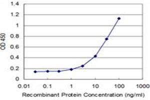 Detection limit for recombinant GST tagged RPL30 is approximately 1ng/ml as a capture antibody. (RPL30 antibody  (AA 1-115))