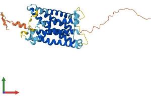 AlphaFold protein structure predicition of Mouse Recombinant Mrgprf Protein, UniprotID Q8VCJ6 (Mrgprf Protein (AA 1-343) (His tag))