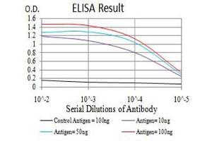 Black line: Control Antigen (100 ng),Purple line: Antigen (10 ng), Blue line: Antigen (50 ng), Red line:Antigen (100 ng) (ARHGAP42 antibody  (AA 577-719))