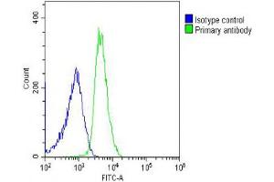Overlay histogram showing U-2OS cells stained with (ABIN6242838 and ABIN6578520) (green line). (RPL14 antibody  (AA 117-147))