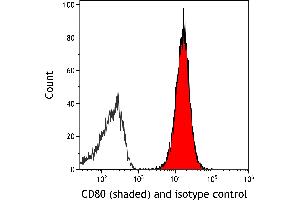 Flow Cytometry (FACS) image for anti-CD80 (CD80) (AA 37-245) antibody (ABIN7449358)