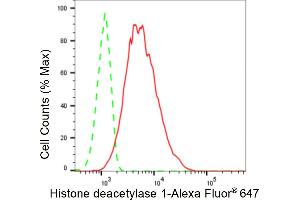 Flow cytometric analysis of Histone deacetylase 1 expression in C2C12 cells using Histone deacetylase 1 antibody (ABIN7798925), 1:2,000). (Recombinant HDAC1 antibody)