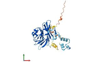 AlphaFold protein structure predicition of Human Recombinant NEURL2 Protein, UniprotID Q9BR09