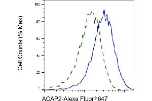 Validation of ACAP2 knockdown using flow cytometry. (Recombinant Centaurin beta 2 antibody)