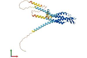 Protein Structure (PS) image for Gap Junction Protein, delta 2, 36kDa (GJD2) (AA 1-321) protein (His tag) (ABIN7562430)