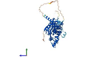 Protein Structure (PS) image for F-Box Protein 31 (FBXO31) (AA 1-507) protein (His tag) (ABIN7557080)