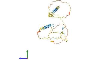 AlphaFold protein structure predicition of Human Recombinant LAT2 Protein, UniprotID Q9GZY6 (LAT2 Protein (AA 1-243) (His tag))