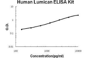 Human Lumican PicoKine ELISA Kit standard curve (LUM ELISA Kit)