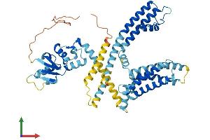 AlphaFold protein structure predicition of Human Recombinant KCNV1 Protein, UniprotID Q6PIU1