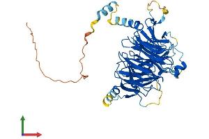 Protein Structure (PS) image for DDB1 and CUL4 Associated Factor 12 (DCAF12) (AA 1-453) protein (His tag) (ABIN7546973)