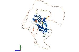 AlphaFold protein structure predicition of Human Recombinant NR4A2 Protein, UniprotID P43354