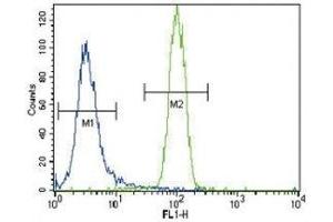 HNF4A antibody flow cytometric analysis of NCI-H460 cells (right histogram) compared to a negative control (left histogram). (HNF4A antibody  (AA 281-312))