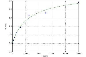 A typical standard curve
