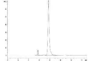 TREML1 Protein (AA 21-175) (Fc Tag)